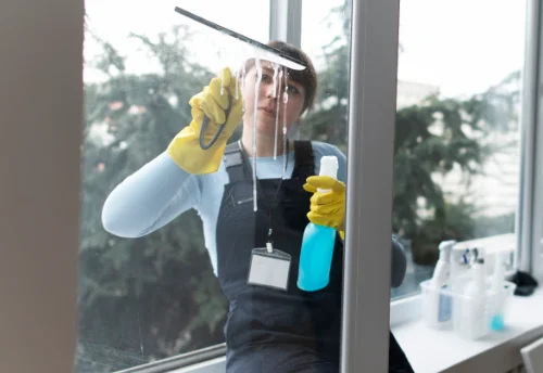 Nettoyage de vitres intérieures et extérieures à Aux-Aussat